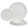 50 x Nupik Bagasse Bio Paperware