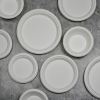 50 x Nupik Bagasse Bio Paperware