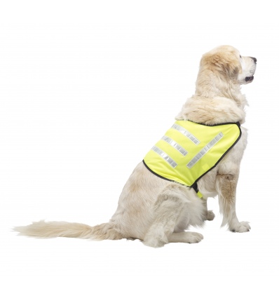 High Visibilty Yellow Dog Reflective Safety Jacket (X-Large)