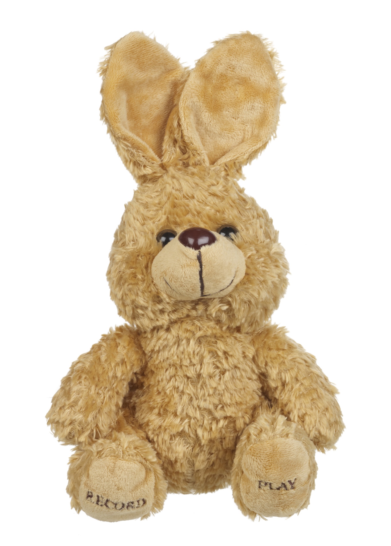 recordable stuffed dog